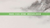 绝地求生（PUBG）新手指南，如何成为战场上的佼佼者