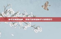 新手玩家的福音，掌握刀剑英雄新手卡使用技巧