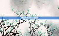 冒险岛防沉迷系统全面解析