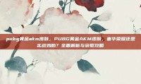 pubg黄金akm皮肤，PUBG黄金AKM皮肤，奢华荣耀还是实战鸡肋？全面解析与获取攻略