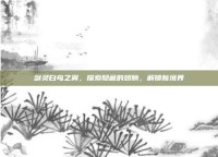 剑灵白鸟之翼，探索隐藏的翅膀，解锁新境界