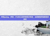 阿怪pubg，阿怪，PUBG江湖中的怪才传说，从草根到顶流的逆袭密码