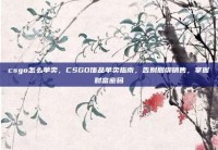 csgo怎么单卖，CSGO饰品单卖指南，告别捆绑销售，掌握财富密码