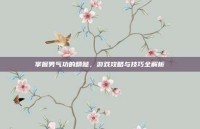 掌握男气功的精髓，游戏攻略与技巧全解析
