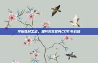 掌握胜利之道，如何高效查询COD16战绩
