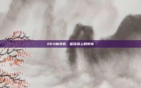 2K11林书豪，篮球场上的传奇