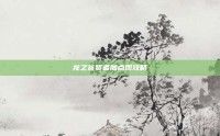 龙之谷贤者加点图攻略