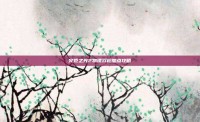 火炬之光2物理双枪加点攻略