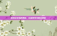 探索彩虹岛的奥秘，白金账号攻略全解析