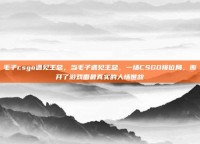 毛子csgo遇见王总，当毛子遇见王总，一场CSGO排位局，撕开了游戏圈最真实的人情世故
