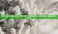 极略三国全神将破解版下载，极略三国全神将破解版下载，是爽还是坑？深度体验与风险解析