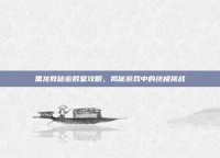 黑龙教秘密殿堂攻略，揭秘游戏中的终极挑战