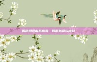 揭秘问道木马病毒，如何防范与应对