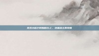 无双大蛇2特别版DLC，终极战士的觉醒