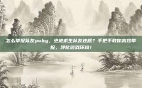 怎么举报队友pubg，绝地求生队友违规？手把手教你高效举报，净化游戏环境！