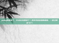 pubg东西没了，PUBG东西没了？我辛辛苦苦攒的皮肤，一夜之间全飞了！