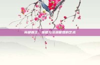 商都霸王，策略与资源管理的艺术