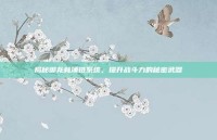 揭秘御龙林项链系统，提升战斗力的秘密武器