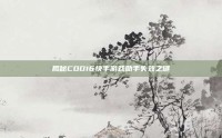揭秘COD16快手游戏助手失效之谜