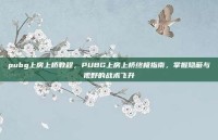 pubg上房上桥教程，PUBG上房上桥终极指南，掌握隐蔽与视野的战术飞升
