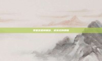 掌握流星蝴蝶剑，枪连招的精髓