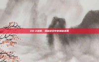 28-2迷雾，揭秘游戏中的神秘迷雾