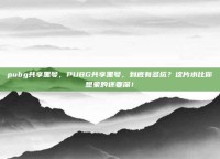 pubg共享黑号，PUBG共享黑号，到底有多坑？这片水比你想象的还要深！