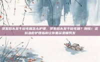 烫发后头发干枯毛躁怎么护理，烫发后头发干枯毛躁？别慌！这份急救护理指南让你重获柔顺秀发