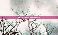 掌握幻想三国志4，角色加点的艺术