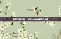 掌握法师之道，神魔大陆中的魔法大师
