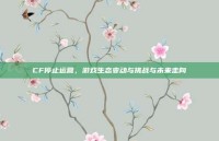 CF停止运营，游戏生态变动与挑战与未来走向