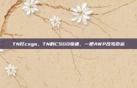 TN打csgo，TN的CSGO奇遇，一把AWP改写命运