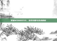 掌握MSM8255，游戏攻略与技术解析