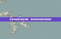 乐高加勒比海盗攻略，探索宝藏岛的终极指南