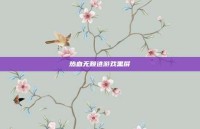 热血无赖进游戏黑屏
