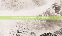 剑灵怎么玩韩服，全方位攻略解析，助你掌握核心玩法