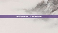 为什么DNF双开不了？深入分析与攻略
