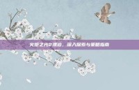 火炬之光2漂泊，深入探索与策略指南