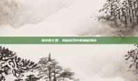 海洋骑士团，揭秘游戏中的神秘海域