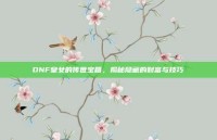 DNF皇女的传世宝箱，揭秘隐藏的财富与技巧