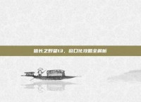 信长之野望13，窗口化攻略全解析