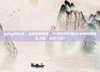 pubg成长ak，从废铁到神器，PUBG成长型AKM的终极进化之路，你肝了吗？