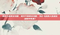 阳光下的真实攻略，阳光下的真实攻略，为什么你的人生总在滤镜中失焦？