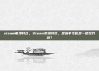 steam市场转区，Steam市场转区，是薅羊毛还是一把双刃剑？