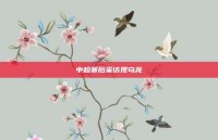 中超赛后采访现乌龙