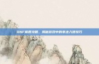 DNF偷渡攻略，揭秘游戏中的非法入侵技巧