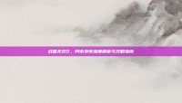 战国无双2，阿市外传深度解析与攻略指南