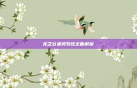 龙之谷坐骑系统全面解析