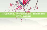 pubg在哪儿买号，PUBG买号避坑指南，老玩家教你如何安全入手，远离坑和雷