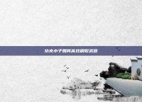 功夫小子如何高效刷取武器